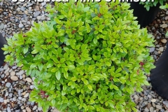 20180405_142513-1000